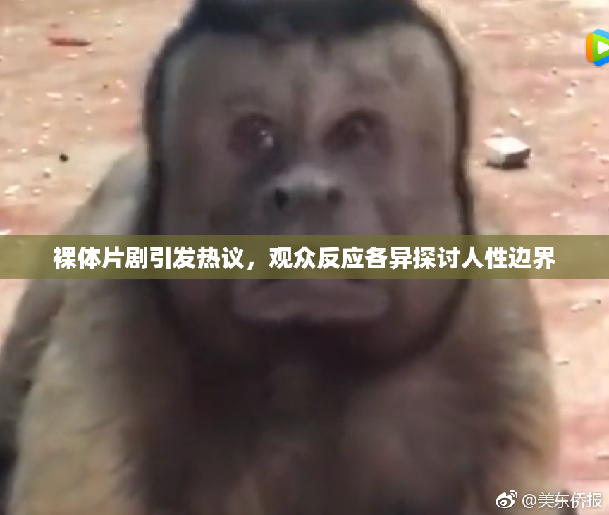 裸体片剧引发热议，观众反应各异探讨人性边界