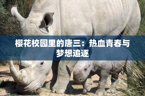 樱花校园里的唐三：热血青春与梦想追逐