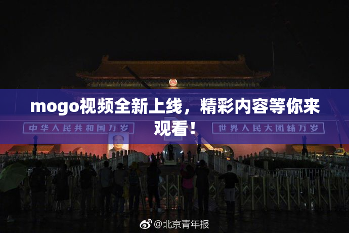 mogo视频全新上线，精彩内容等你来观看！