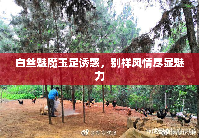 白丝魅魔玉足诱惑，别样风情尽显魅力