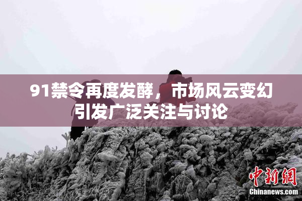91禁令再度发酵，市场风云变幻引发广泛关注与讨论