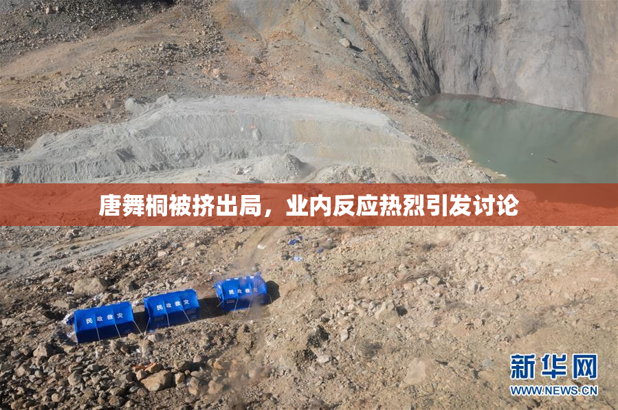 唐舞桐被挤出局，业内反应热烈引发讨论