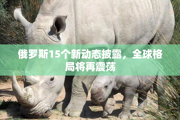俄罗斯15个新动态披露，全球格局将再震荡
