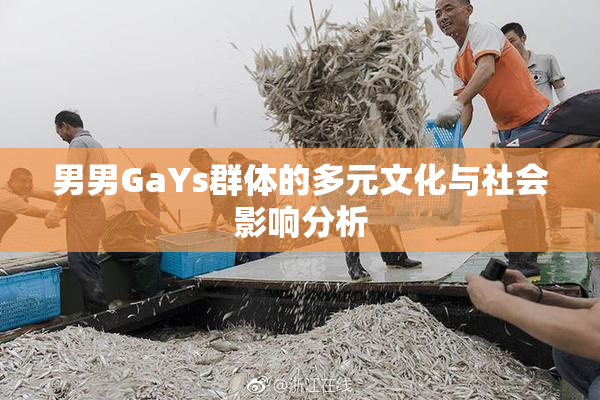 男男GaYs群体的多元文化与社会影响分析