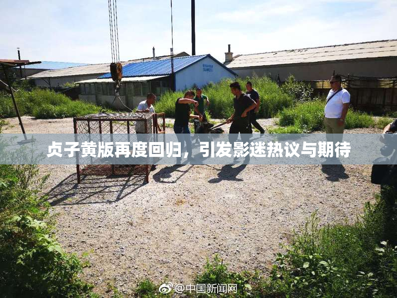 贞子黄版再度回归，引发影迷热议与期待