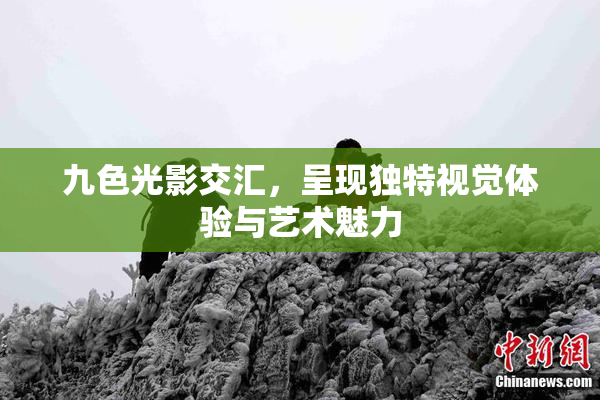 九色光影交汇，呈现独特视觉体验与艺术魅力