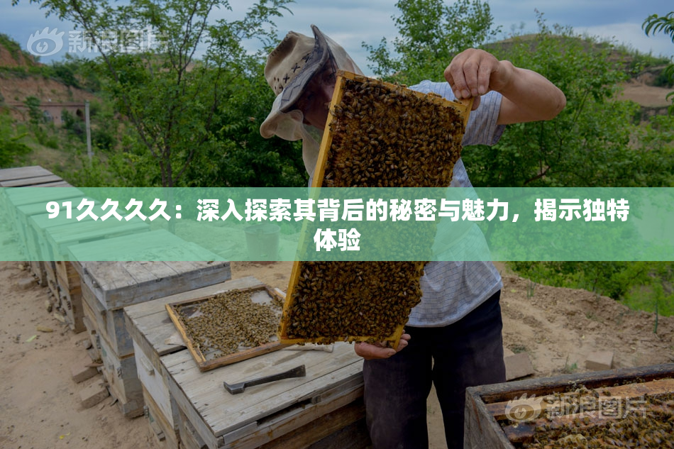 91久久久久：深入探索其背后的秘密与魅力，揭示独特体验