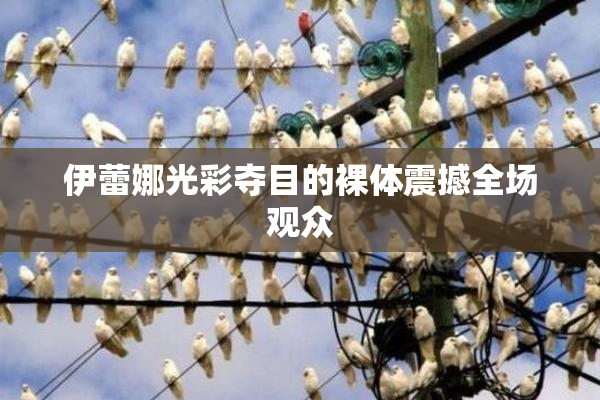 伊蕾娜光彩夺目的裸体震撼全场观众