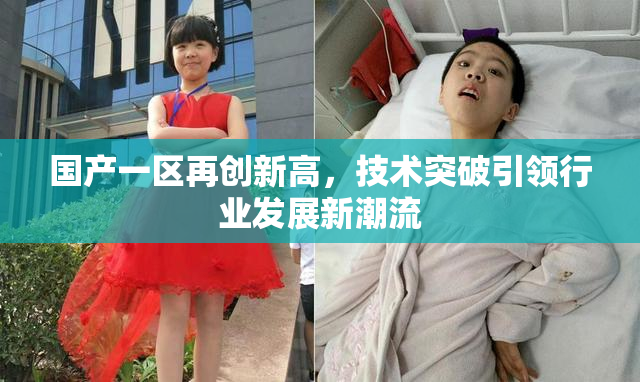 国产一区再创新高，技术突破引领行业发展新潮流