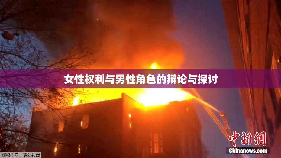 女性权利与男性角色的辩论与探讨