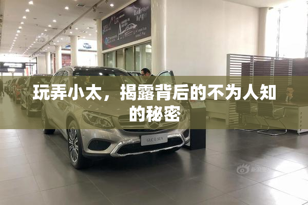 玩弄小太，揭露背后的不为人知的秘密