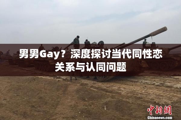 男男Gay？深度探讨当代同性恋关系与认同问题