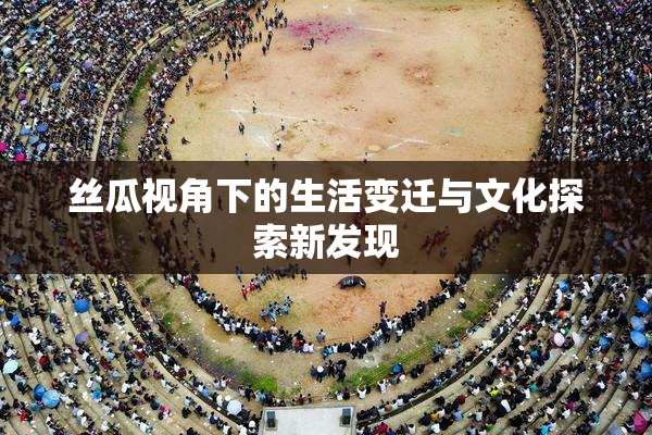 丝瓜视角下的生活变迁与文化探索新发现