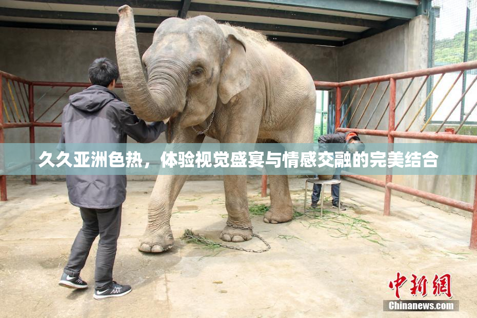 久久亚洲色热，体验视觉盛宴与情感交融的完美结合