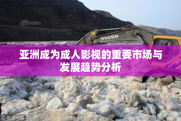 亚洲成为成人影视的重要市场与发展趋势分析