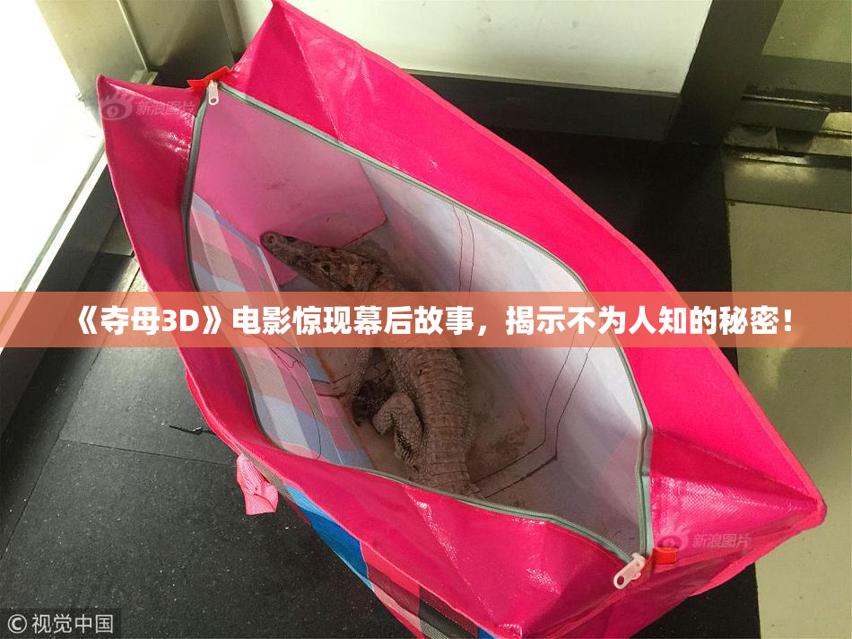 《夺母3D》电影惊现幕后故事，揭示不为人知的秘密！