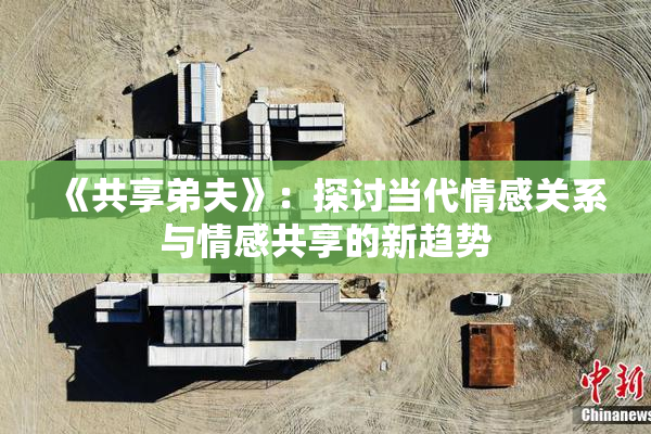 《共享弟夫》：探讨当代情感关系与情感共享的新趋势