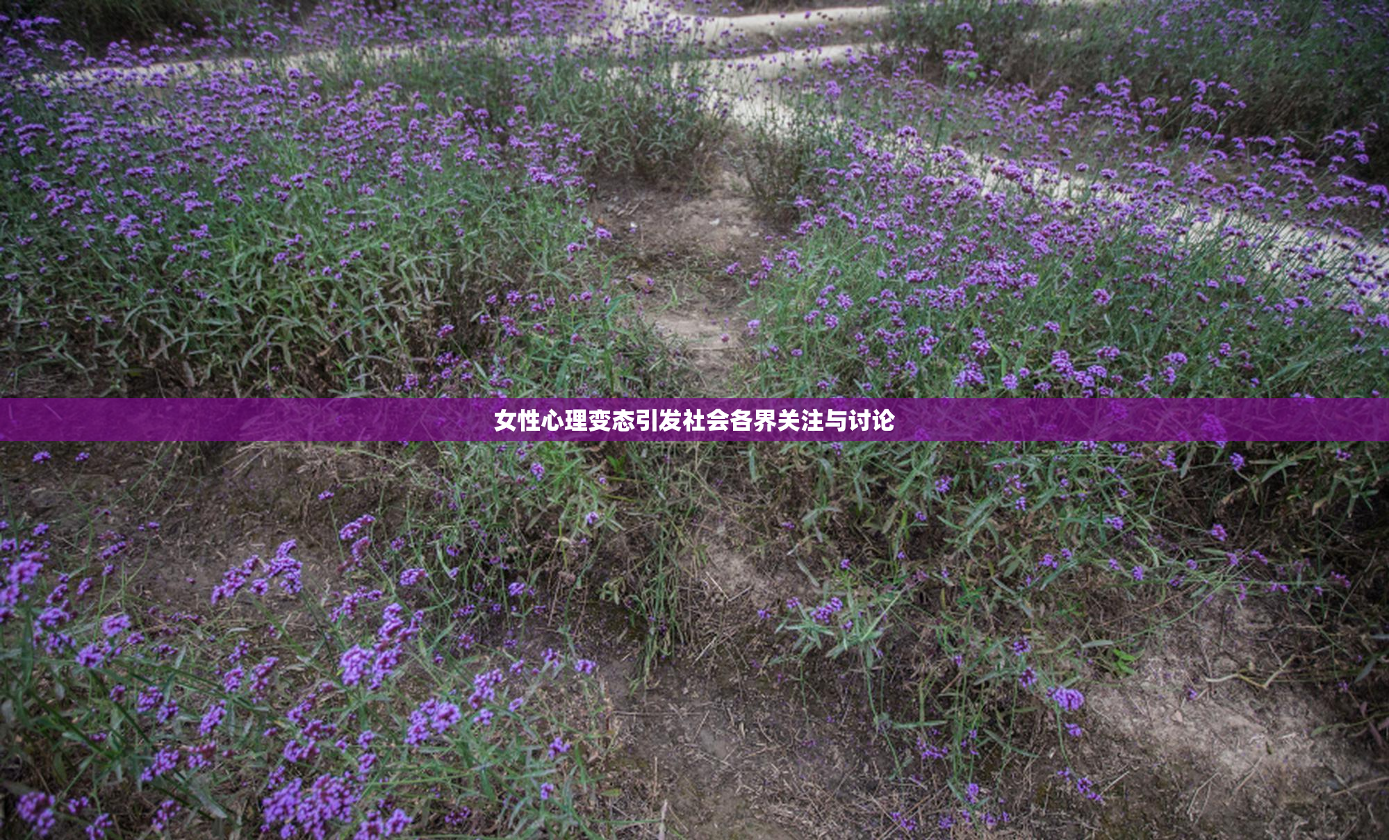 女性心理变态引发社会各界关注与讨论