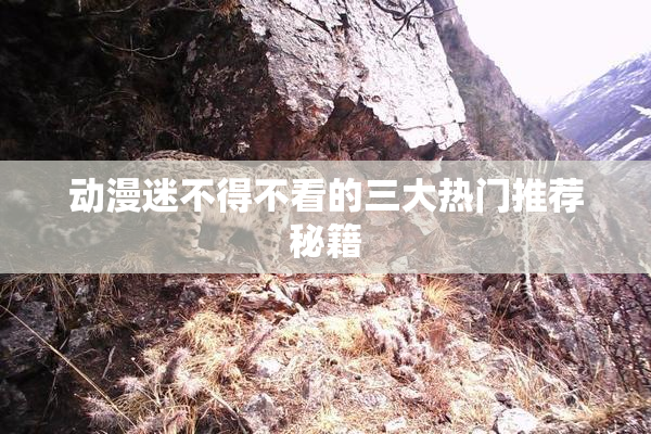 动漫迷不得不看的三大热门推荐秘籍