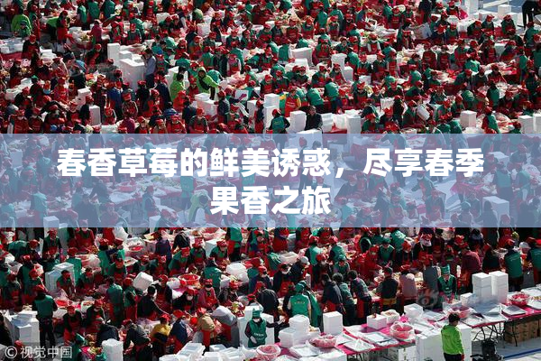 春香草莓的鲜美诱惑，尽享春季果香之旅