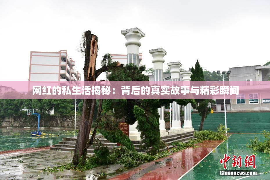 网红的私生活揭秘：背后的真实故事与精彩瞬间