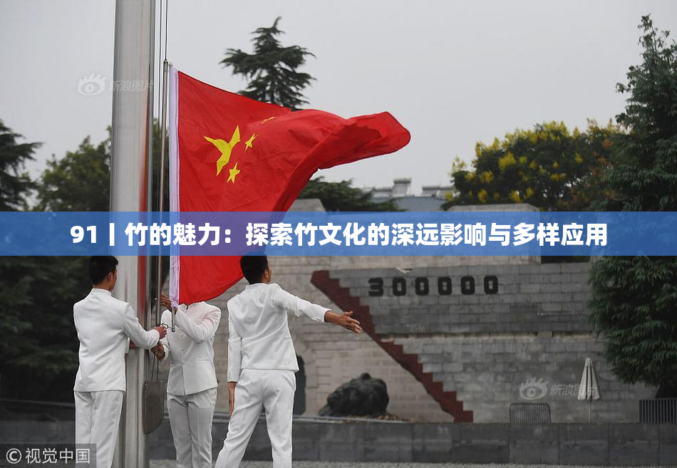 91丨竹的魅力：探索竹文化的深远影响与多样应用