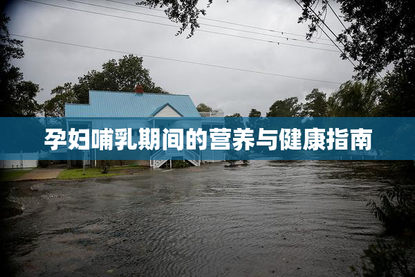 孕妇哺乳期间的营养与健康指南