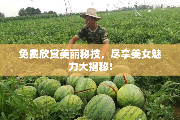 免费欣赏美丽秘技，尽享美女魅力大揭秘!