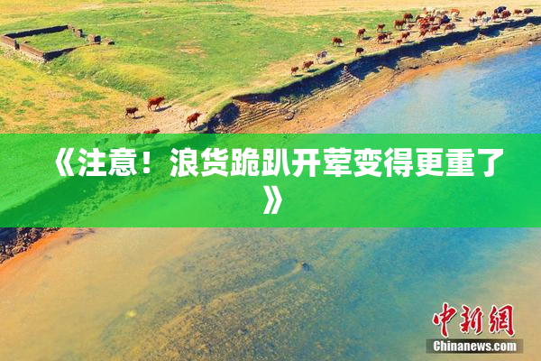 《注意！浪货跪趴开荤变得更重了》