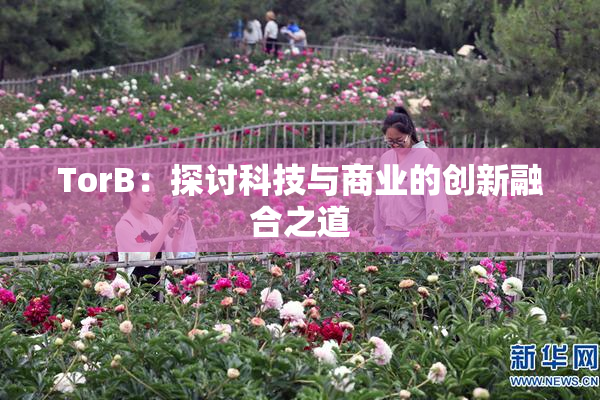 TorB：探讨科技与商业的创新融合之道
