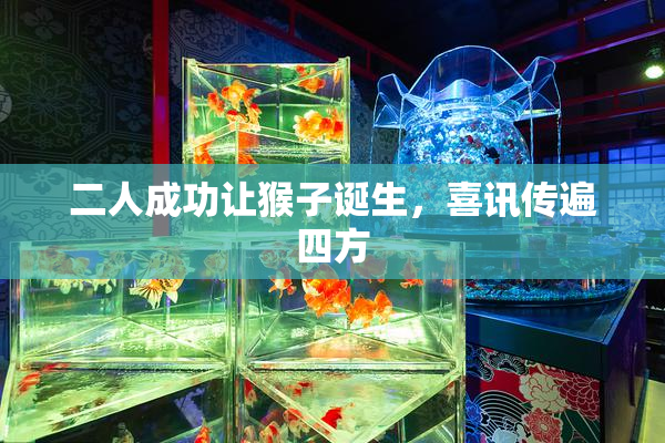 二人成功让猴子诞生，喜讯传遍四方