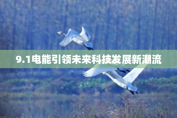 9.1电能引领未来科技发展新潮流