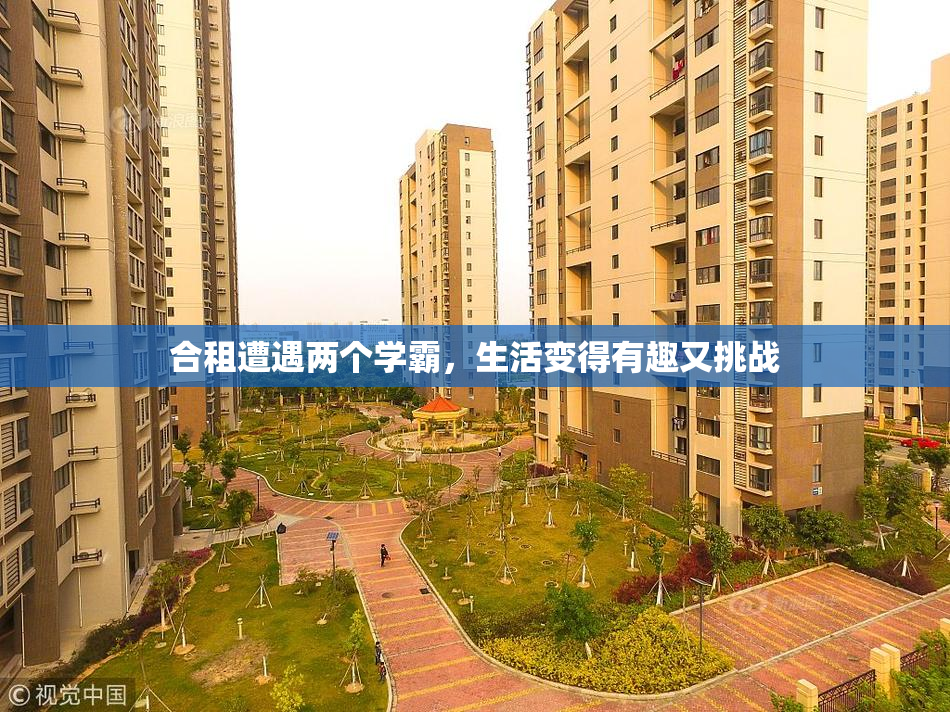 合租遭遇两个学霸，生活变得有趣又挑战