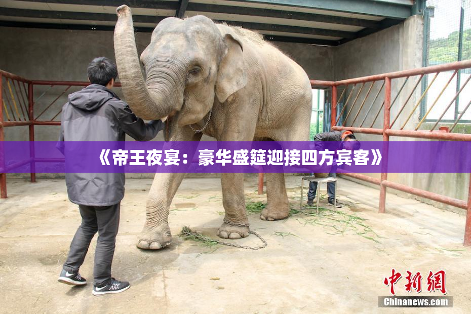 《帝王夜宴：豪华盛筵迎接四方宾客》