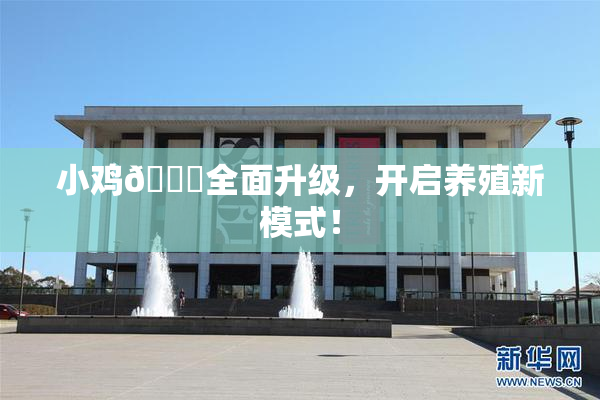 小鸡🐔全面升级，开启养殖新模式！