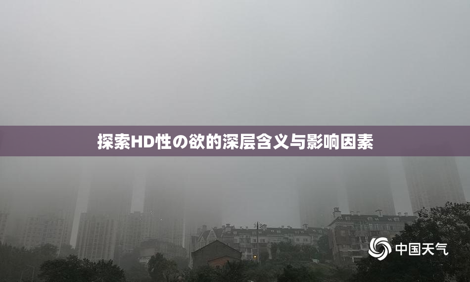 探索HD性の欲的深层含义与影响因素
