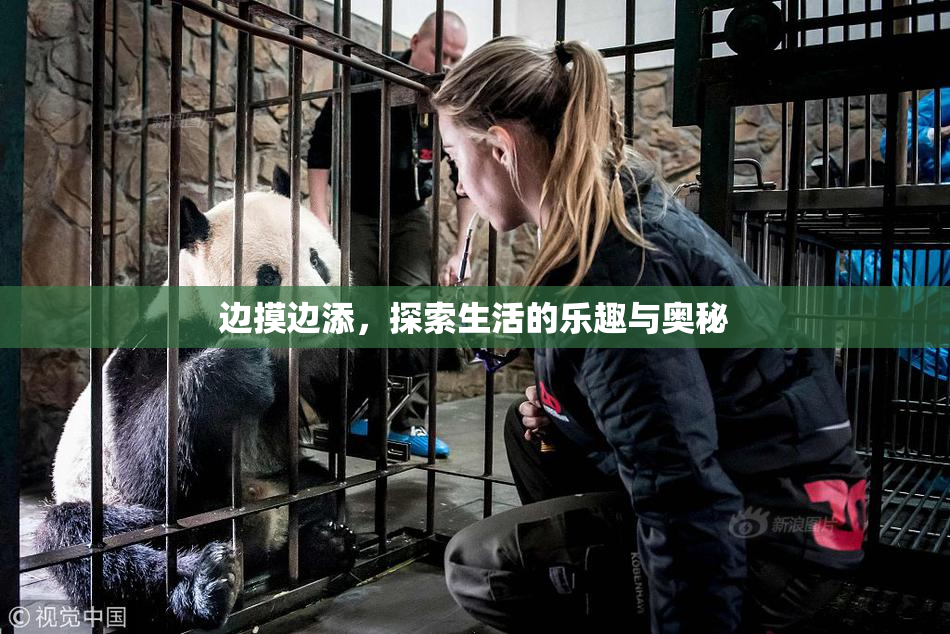 边摸边添，探索生活的乐趣与奥秘