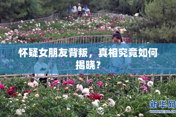 怀疑女朋友背叛，真相究竟如何揭晓？