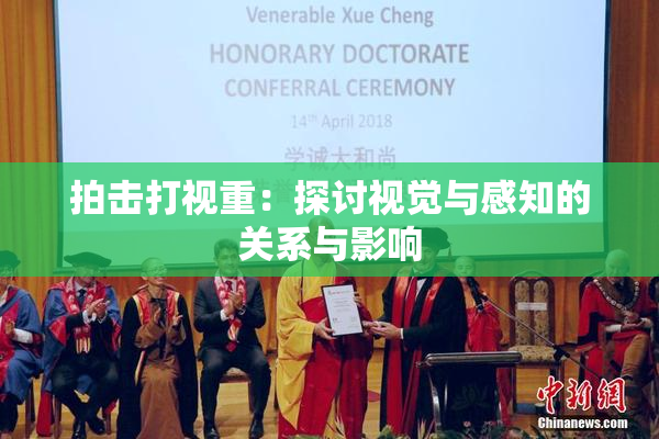 拍击打视重：探讨视觉与感知的关系与影响