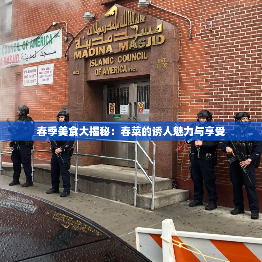 春季美食大揭秘：春菜的诱人魅力与享受