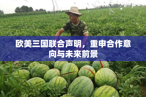 欧美三国联合声明，重申合作意向与未来前景