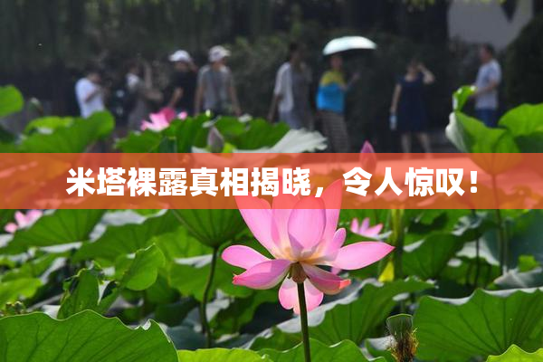米塔裸露真相揭晓，令人惊叹！