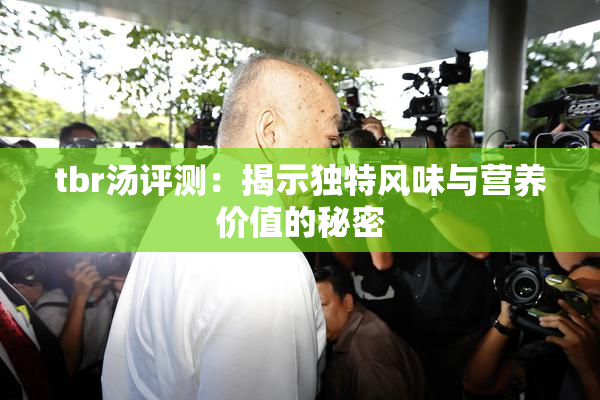 tbr汤评测：揭示独特风味与营养价值的秘密