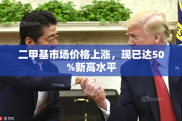二甲基市场价格上涨，现已达50%新高水平