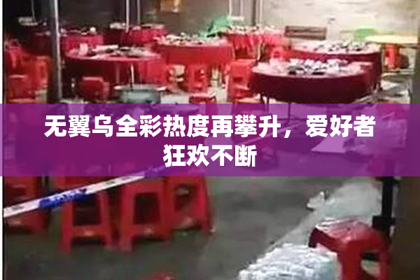 无翼乌全彩热度再攀升，爱好者狂欢不断