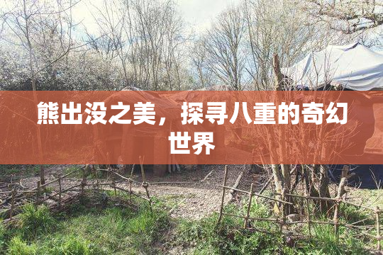 熊出没之美，探寻八重的奇幻世界