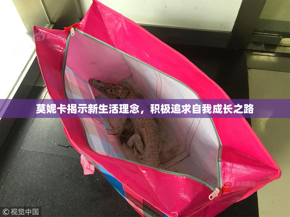 莫妮卡揭示新生活理念，积极追求自我成长之路