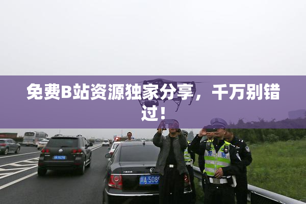 免费B站资源独家分享，千万别错过！