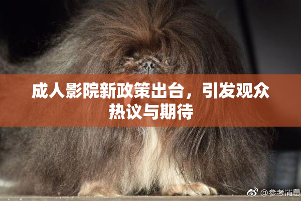 成人影院新政策出台，引发观众热议与期待