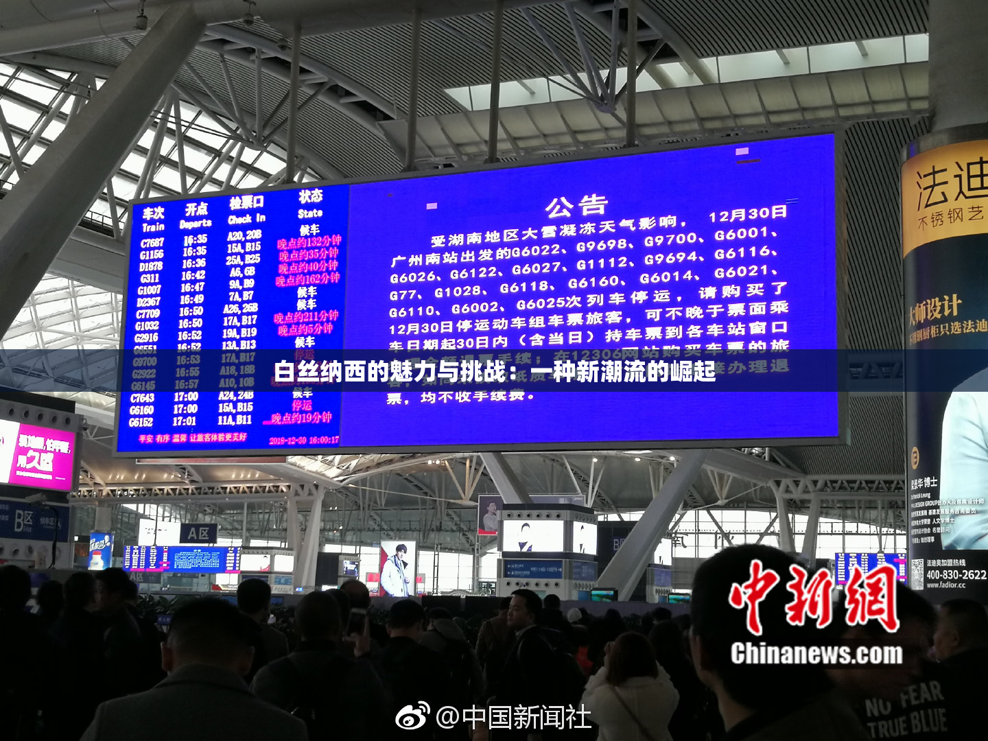 白丝纳西的魅力与挑战：一种新潮流的崛起